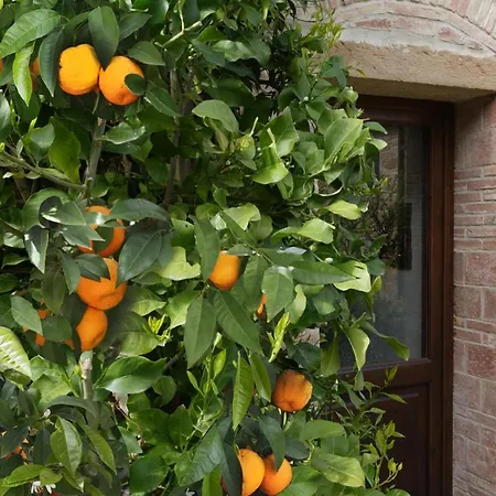 Il Lebbio Agriresort *