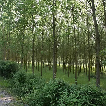 Apartament Il Lebbio Agriresort *